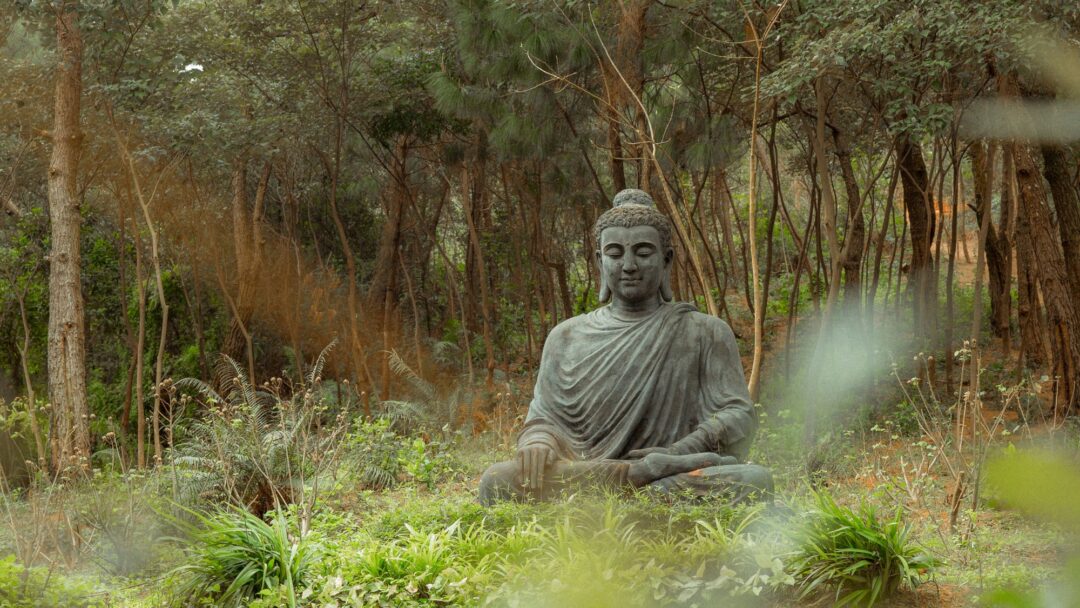 Meditation: Embodying Acceptance and Care Meditation: Embodying Acceptance and Care