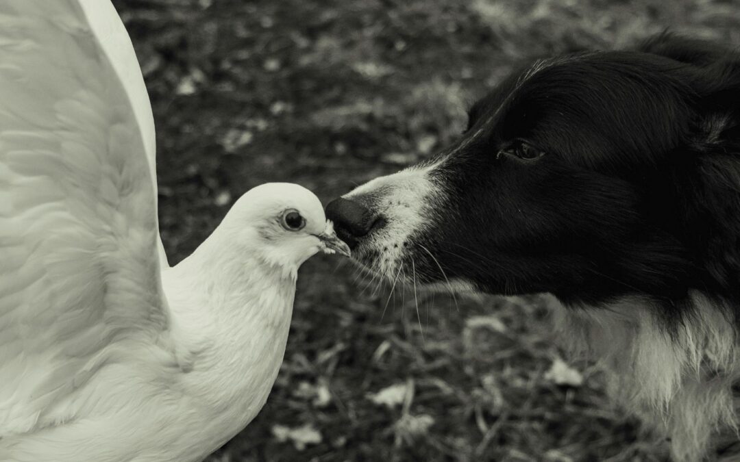 Namaste: Honoring the Light in All Beings