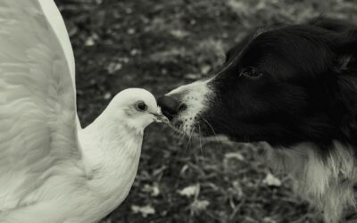 Namaste: Honoring the Light in All Beings