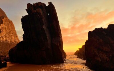Meditation: Inner Refuge of Calm (20:25 min.)