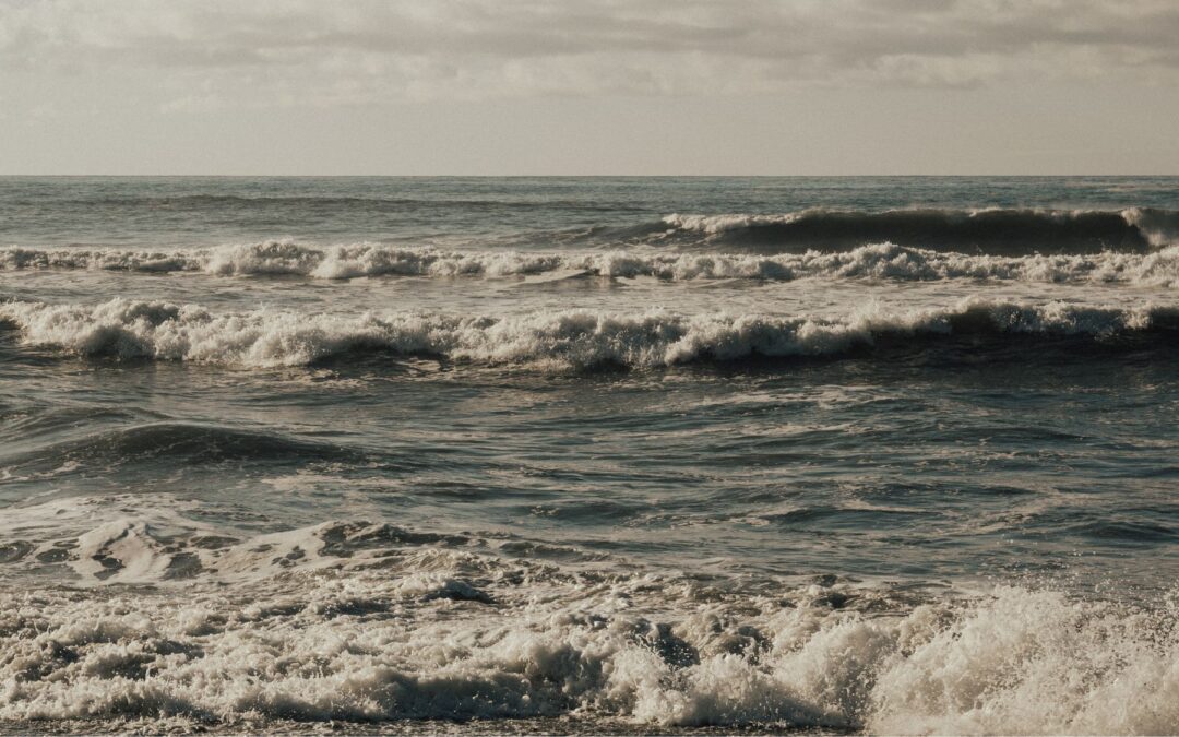 Meditation: Resting in Reality (24 min)