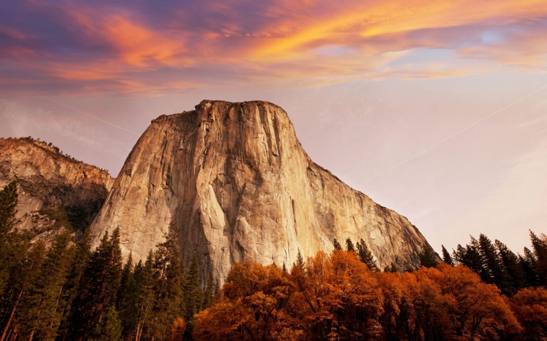 Meditation: Alert Inner Stillness (20:00 Min.)