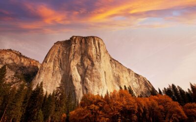 Meditation: Alert Inner Stillness (20:00 Min.)
