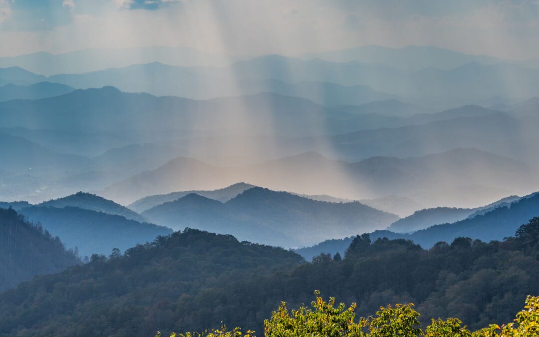Meditation: Embodied Metta (20:06 min.)